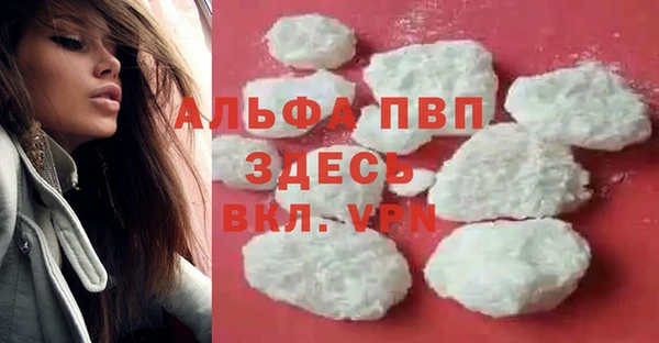 хмурый Ладушкин