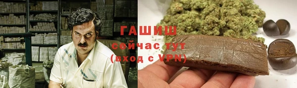 хмурый Ладушкин