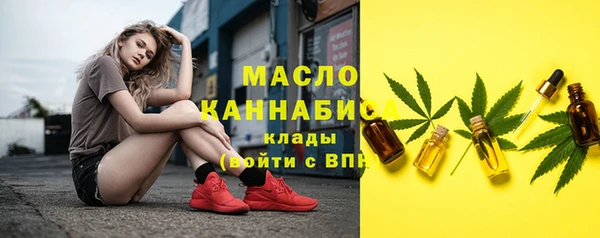 хмурый Ладушкин