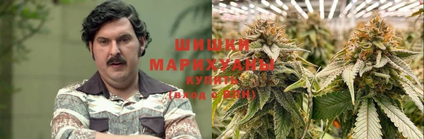 эйфоретик Липки