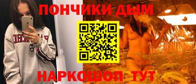 прущие грибы Кингисепп
