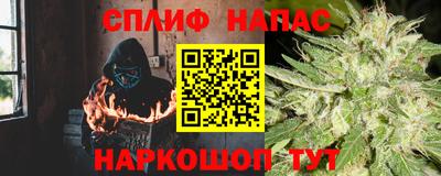 прущие грибы Кингисепп