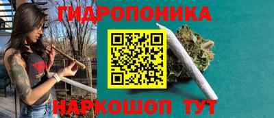 прущие грибы Кингисепп